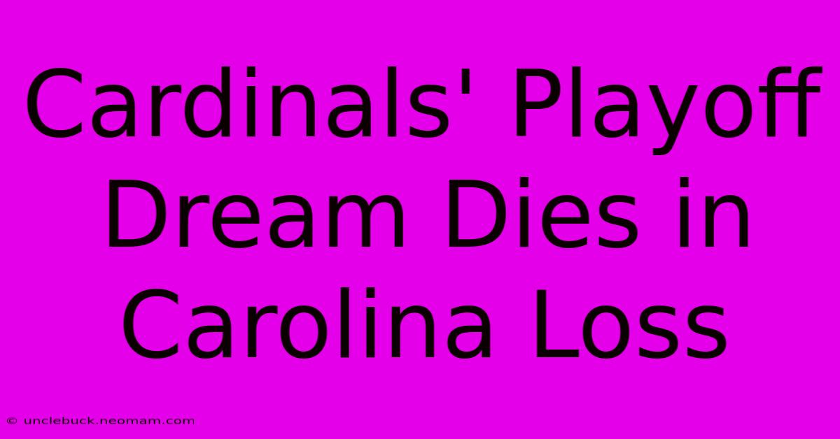 Cardinals' Playoff Dream Dies In Carolina Loss