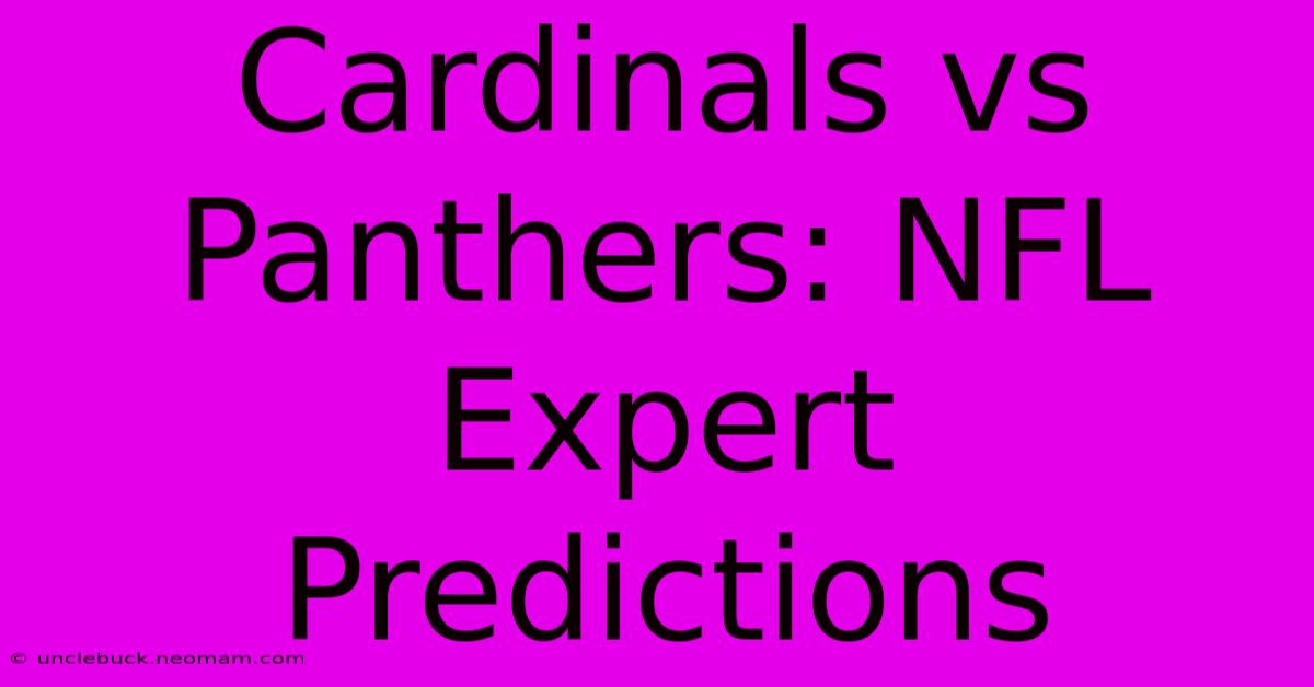 Cardinals Vs Panthers: NFL Expert Predictions