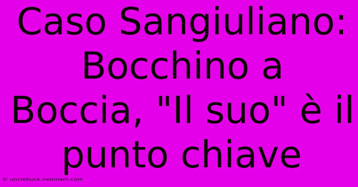 Caso Sangiuliano: Bocchino A Boccia, 