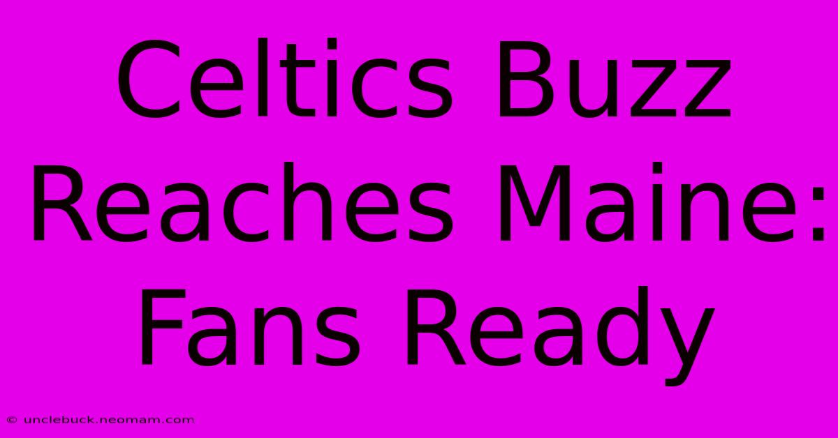 Celtics Buzz Reaches Maine: Fans Ready