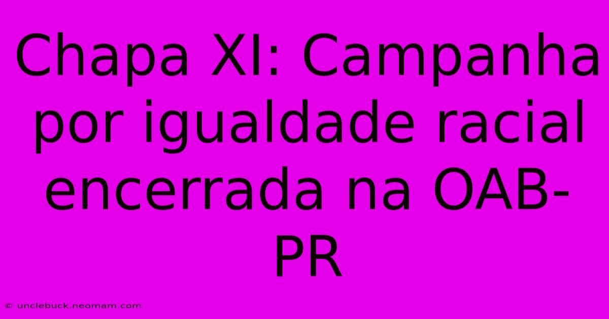 Chapa XI: Campanha Por Igualdade Racial Encerrada Na OAB-PR