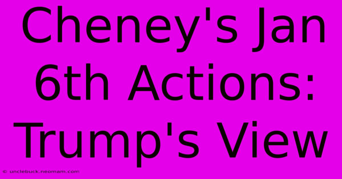 Cheney's Jan 6th Actions: Trump's View