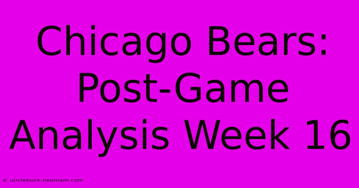 Chicago Bears: Post-Game Analysis Week 16