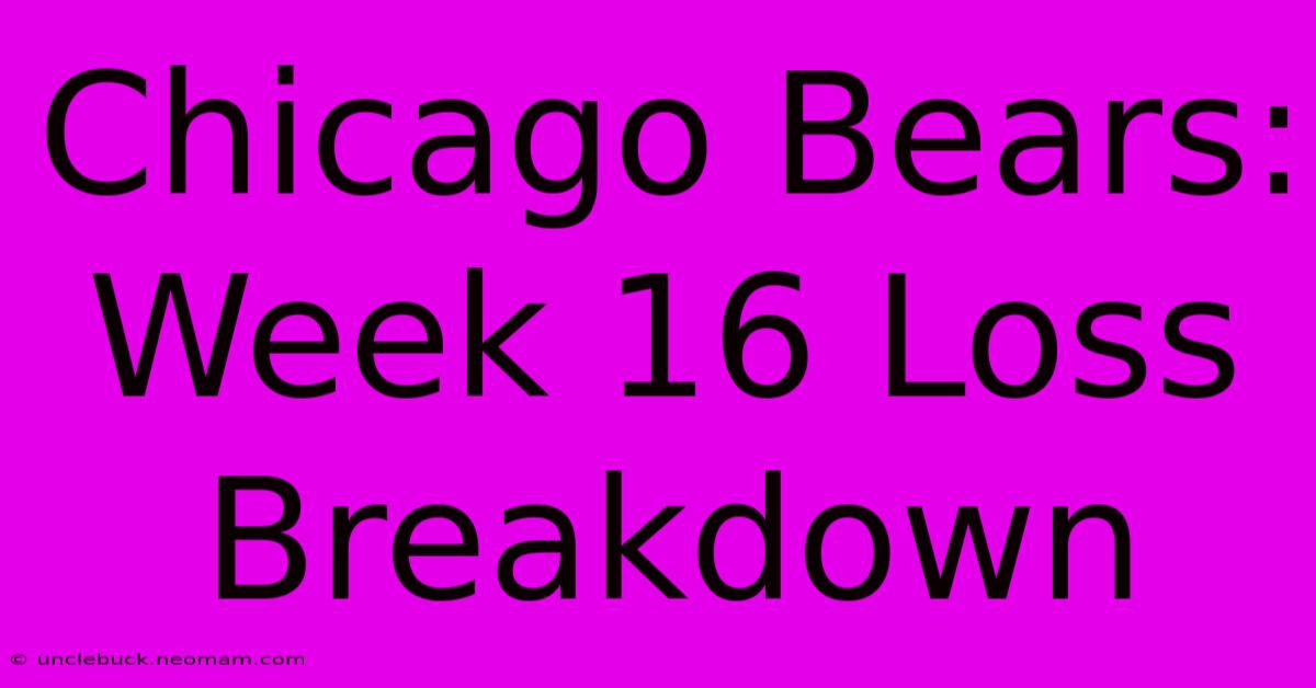 Chicago Bears: Week 16 Loss Breakdown