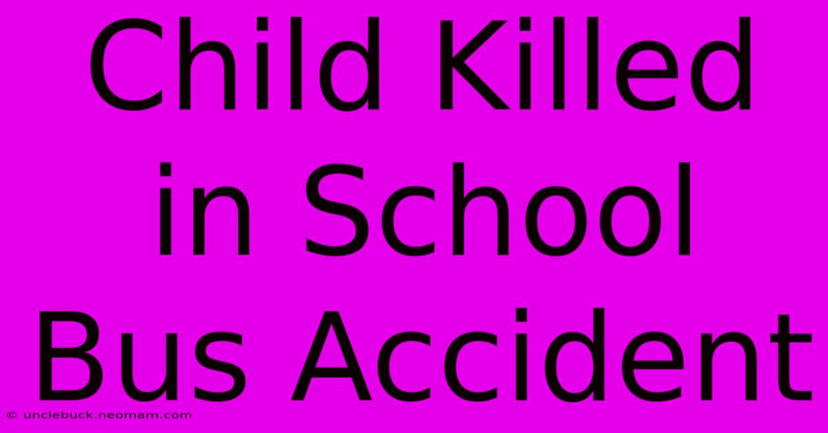 Child Killed In School Bus Accident