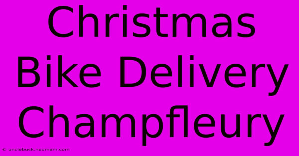 Christmas Bike Delivery Champfleury