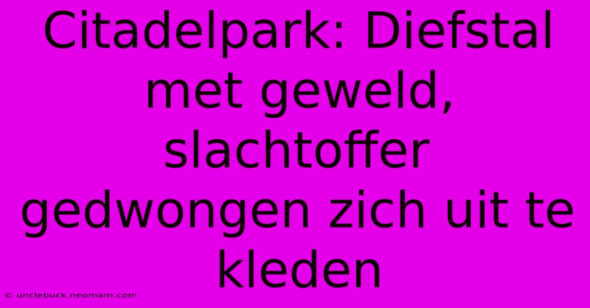 Citadelpark: Diefstal Met Geweld, Slachtoffer Gedwongen Zich Uit Te Kleden