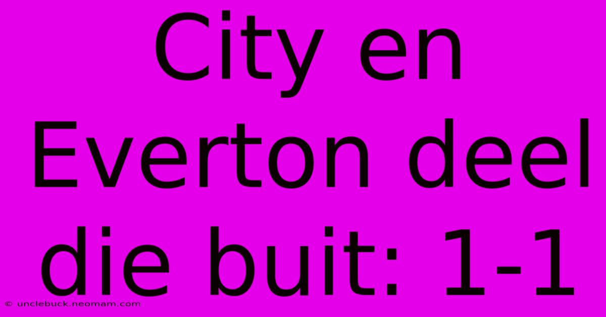 City En Everton Deel Die Buit: 1-1