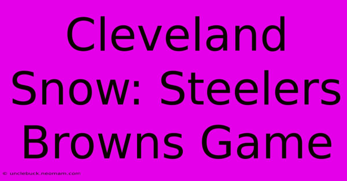 Cleveland Snow: Steelers Browns Game