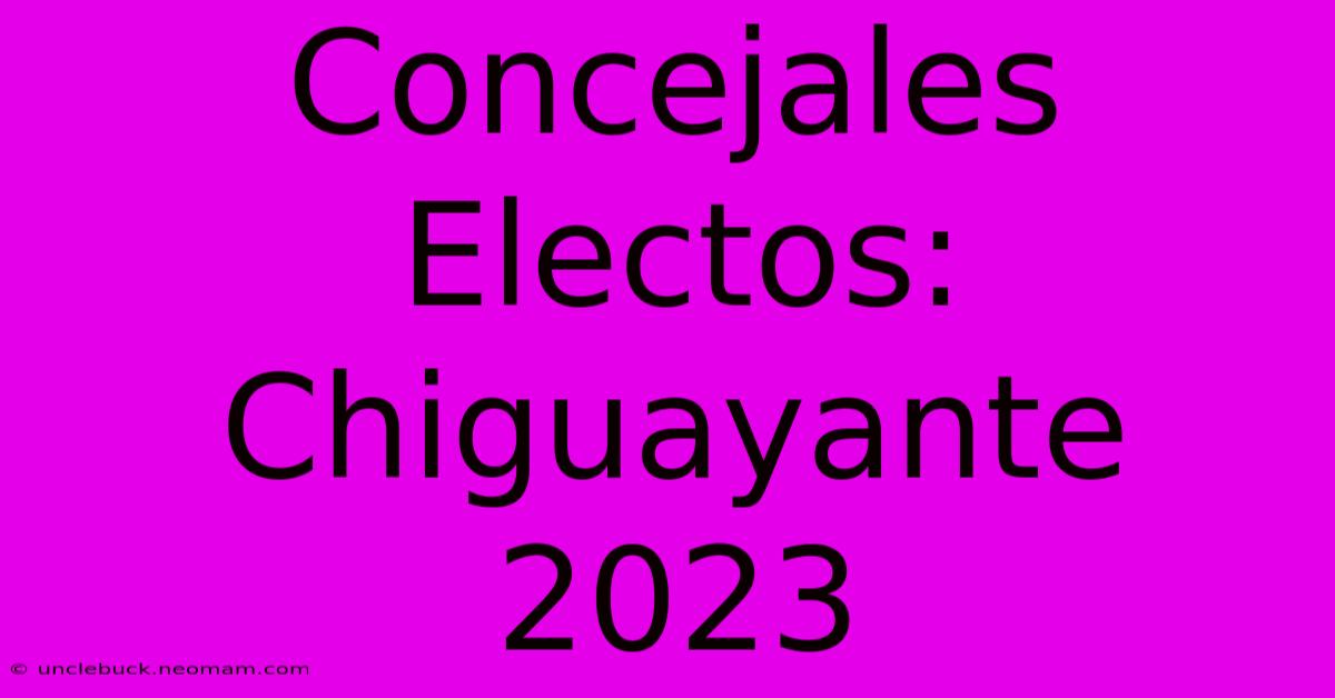 Concejales Electos: Chiguayante 2023