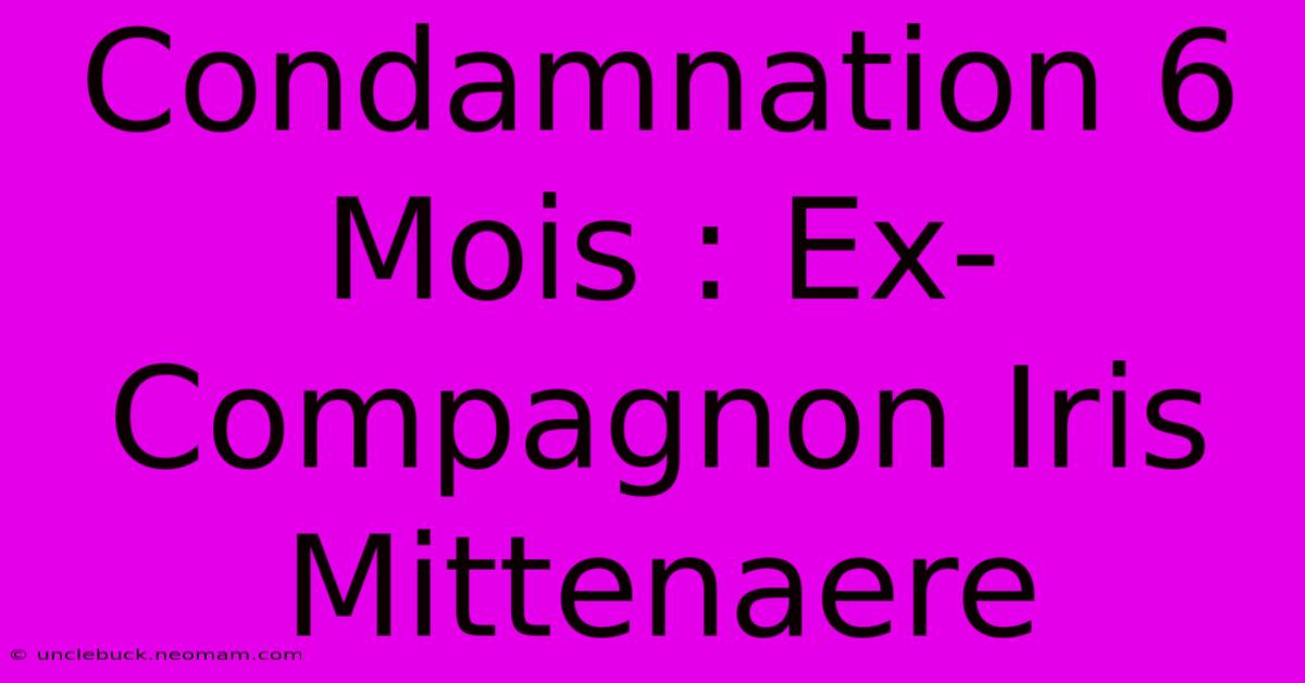 Condamnation 6 Mois : Ex-Compagnon Iris Mittenaere