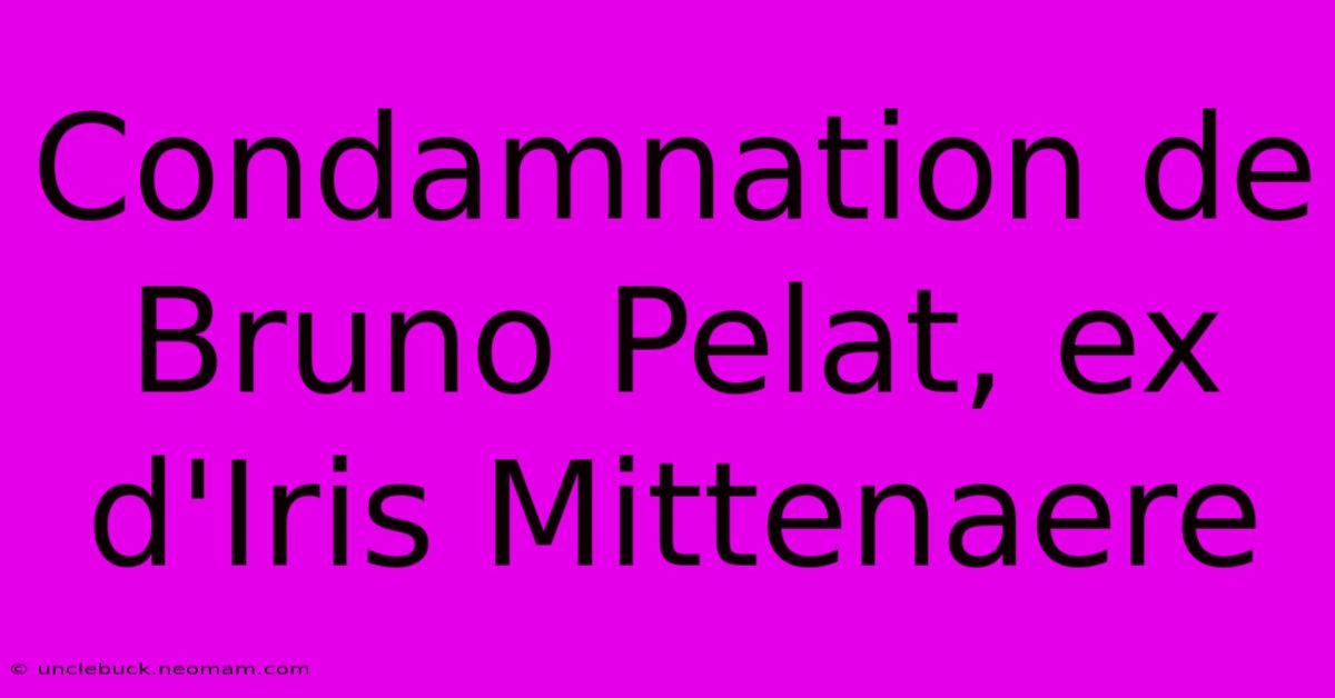 Condamnation De Bruno Pelat, Ex D'Iris Mittenaere