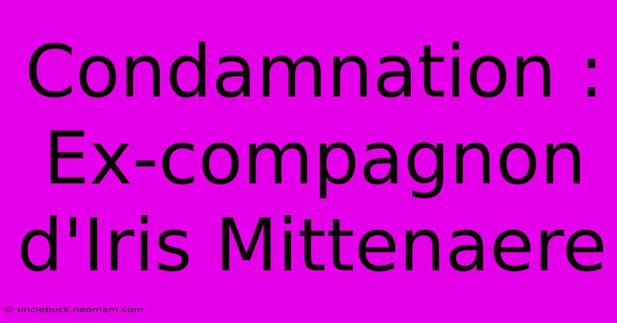 Condamnation : Ex-compagnon D'Iris Mittenaere