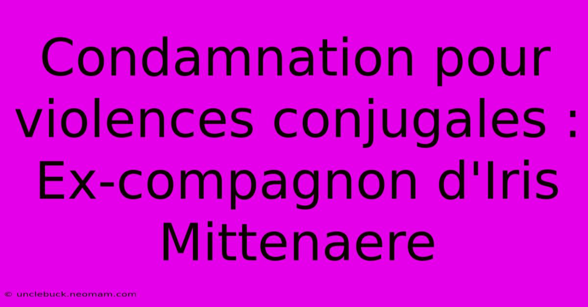 Condamnation Pour Violences Conjugales : Ex-compagnon D'Iris Mittenaere