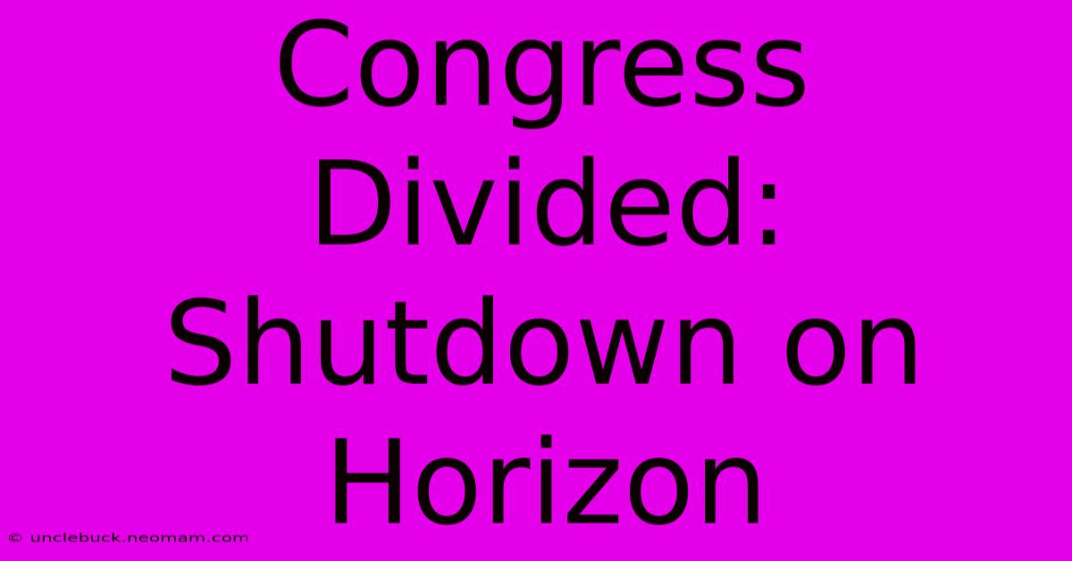 Congress Divided: Shutdown On Horizon