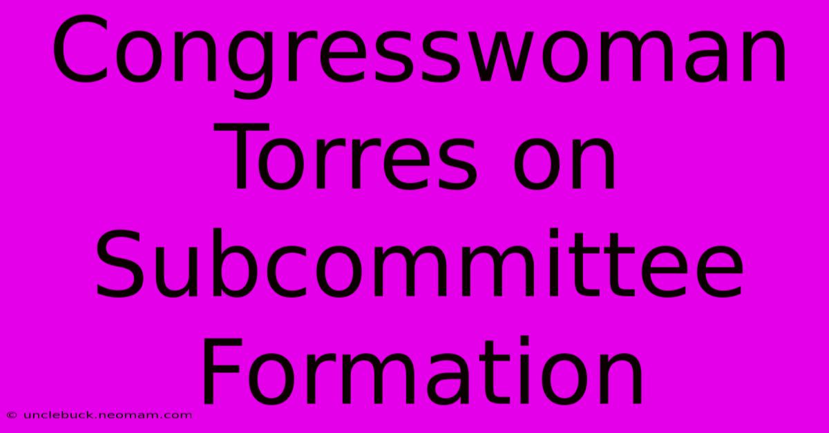 Congresswoman Torres On Subcommittee Formation