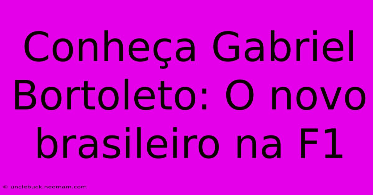 Conheça Gabriel Bortoleto: O Novo Brasileiro Na F1