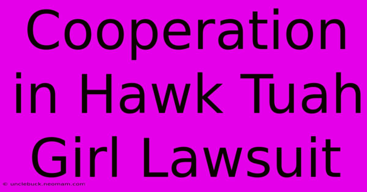 Cooperation In Hawk Tuah Girl Lawsuit