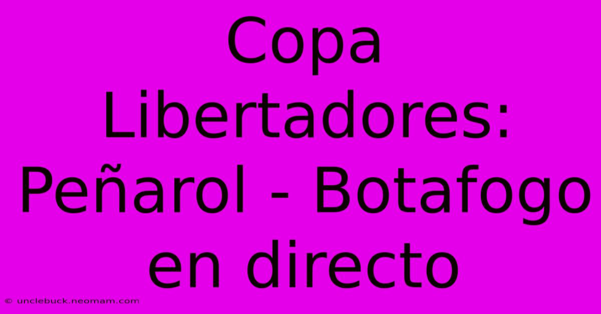 Copa Libertadores: Peñarol - Botafogo En Directo