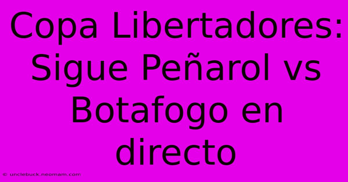 Copa Libertadores: Sigue Peñarol Vs Botafogo En Directo 