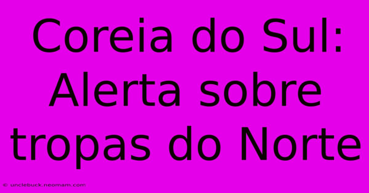 Coreia Do Sul: Alerta Sobre Tropas Do Norte