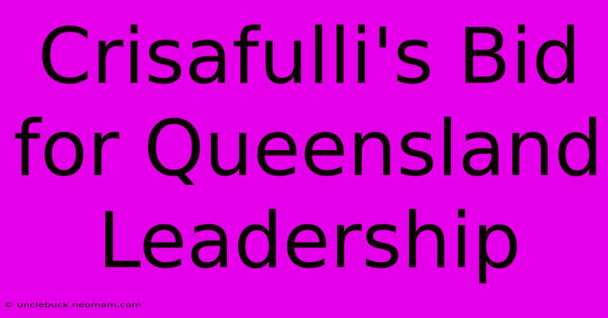 Crisafulli's Bid For Queensland Leadership 