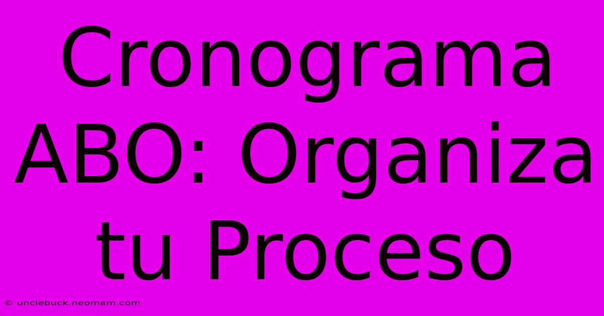 Cronograma ABO: Organiza Tu Proceso