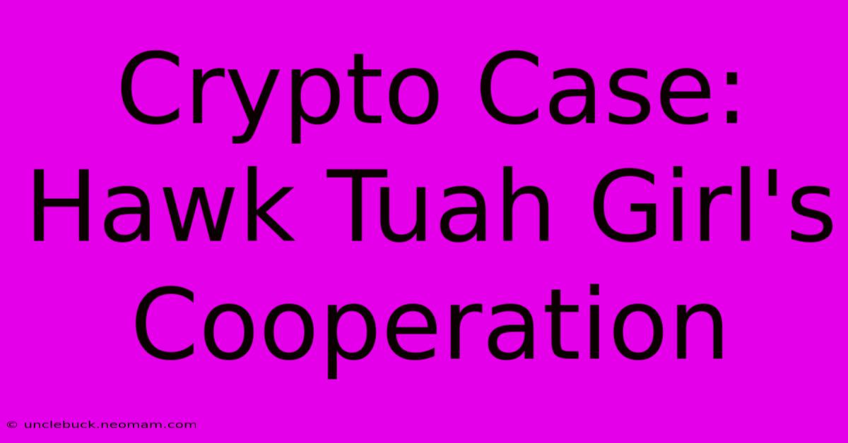 Crypto Case: Hawk Tuah Girl's Cooperation