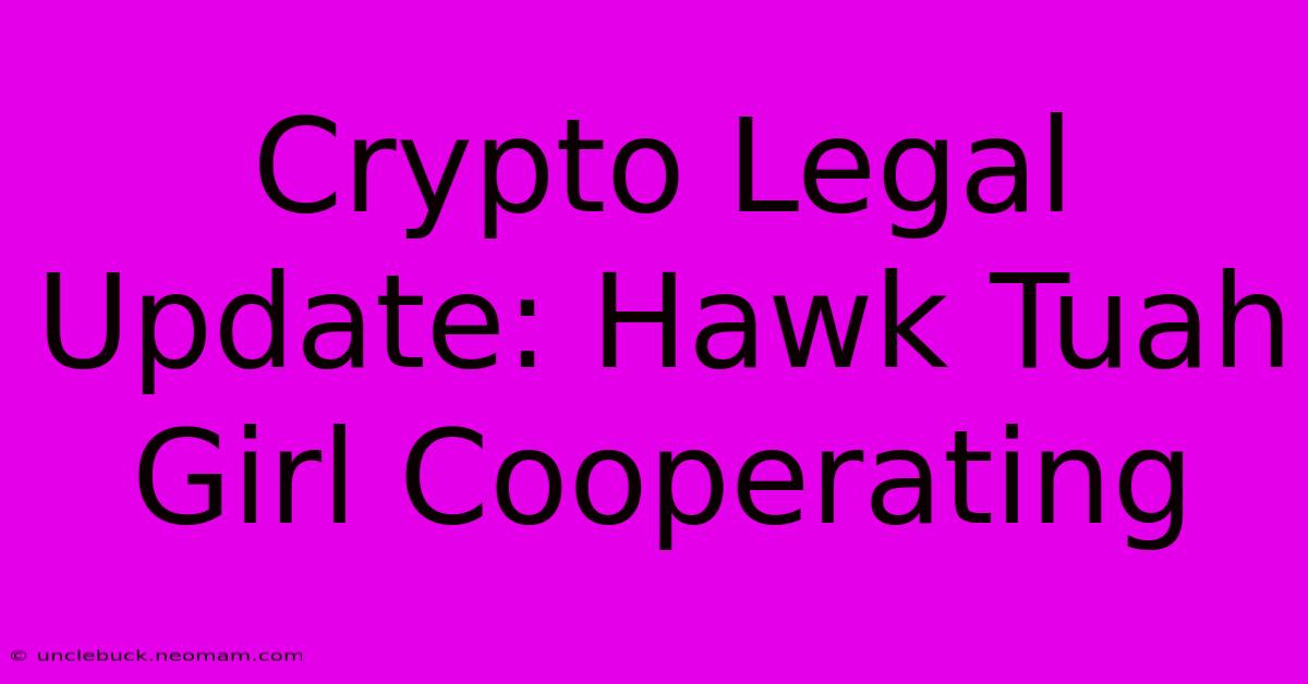 Crypto Legal Update: Hawk Tuah Girl Cooperating