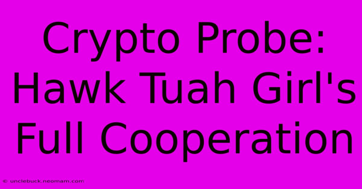 Crypto Probe: Hawk Tuah Girl's Full Cooperation