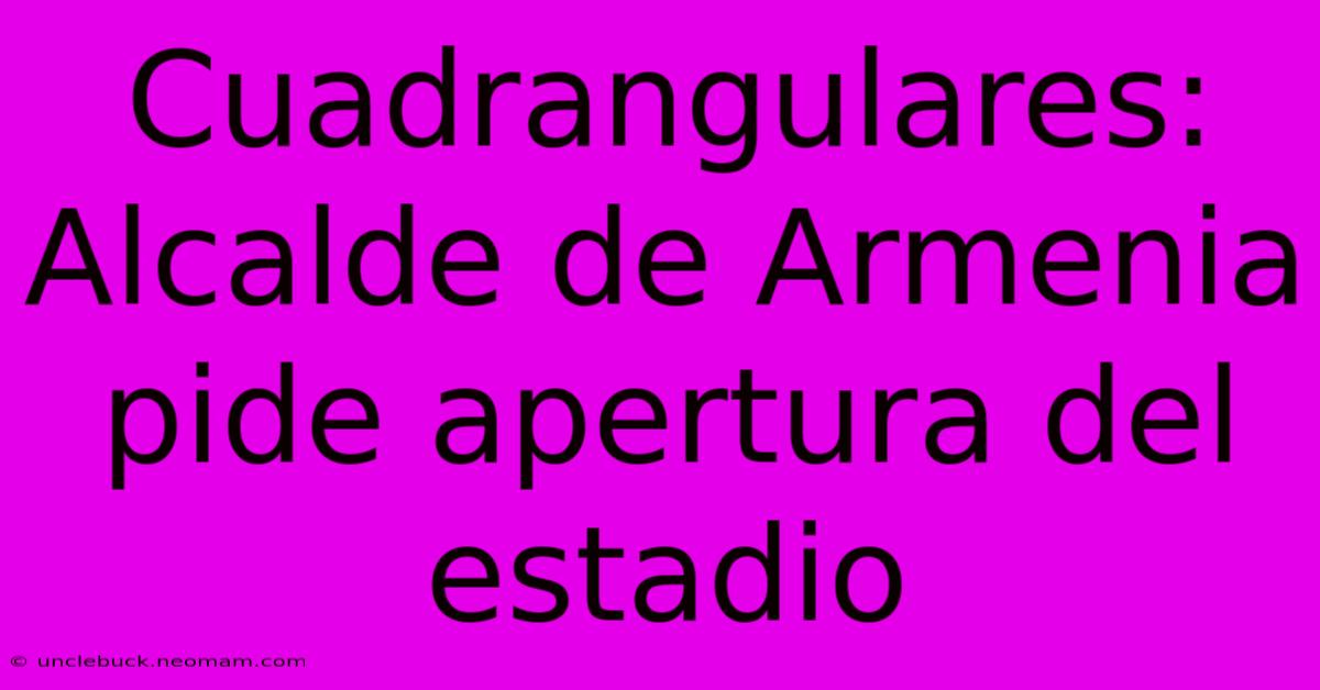 Cuadrangulares: Alcalde De Armenia Pide Apertura Del Estadio 