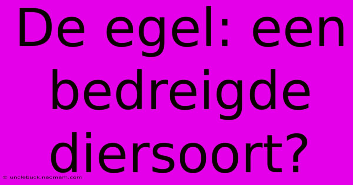 De Egel: Een Bedreigde Diersoort?