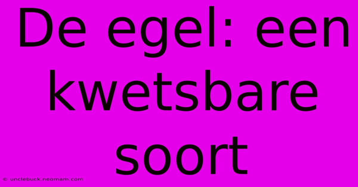 De Egel: Een Kwetsbare Soort