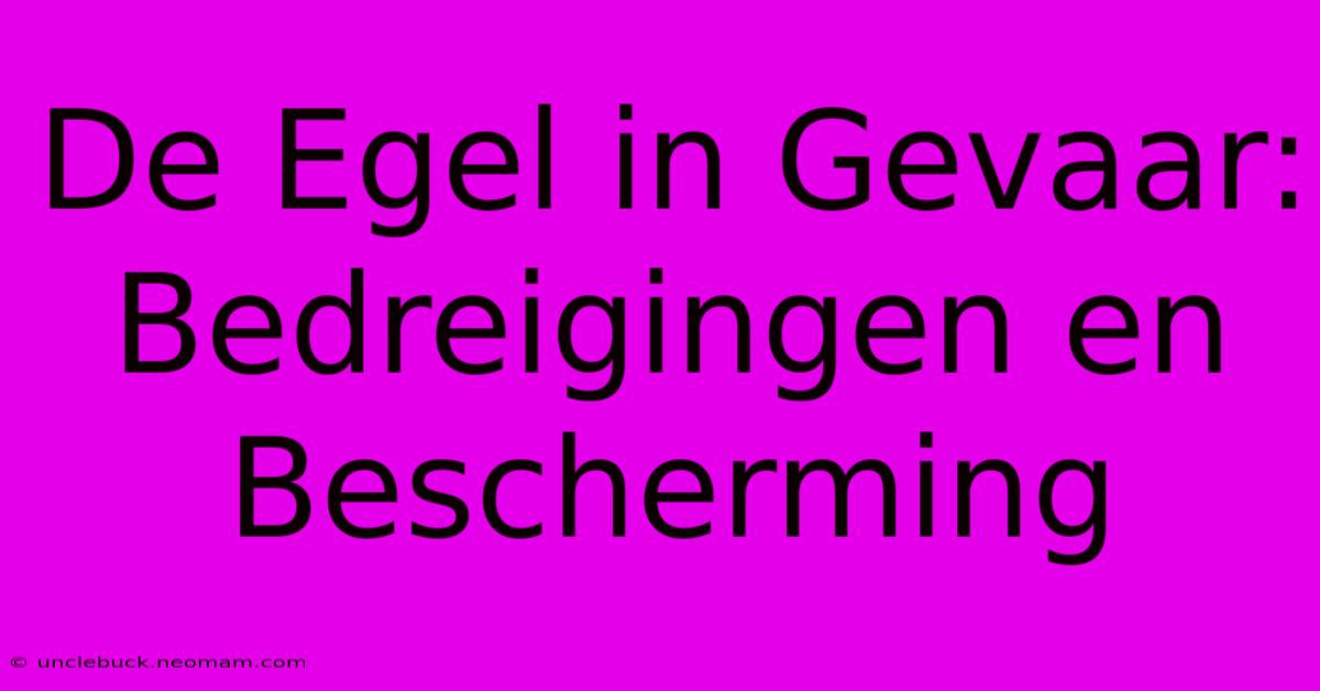 De Egel In Gevaar: Bedreigingen En Bescherming