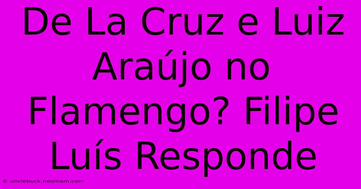 De La Cruz E Luiz Araújo No Flamengo? Filipe Luís Responde