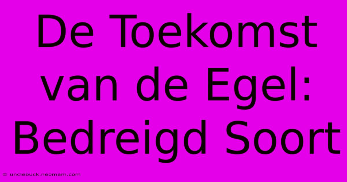 De Toekomst Van De Egel: Bedreigd Soort