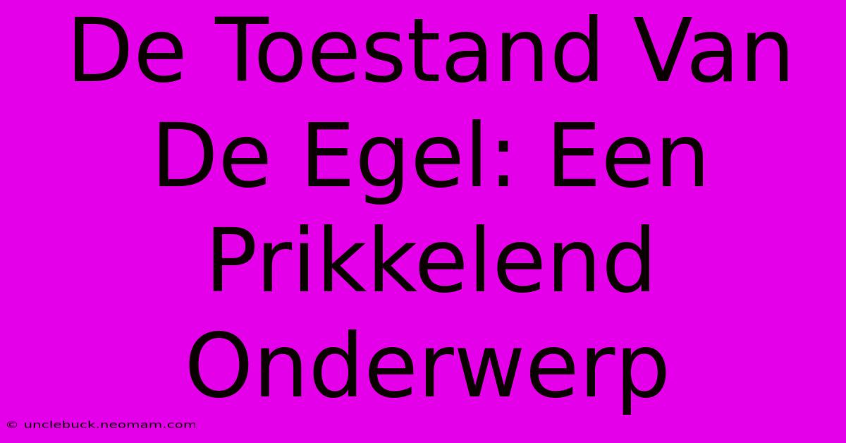 De Toestand Van De Egel: Een Prikkelend Onderwerp