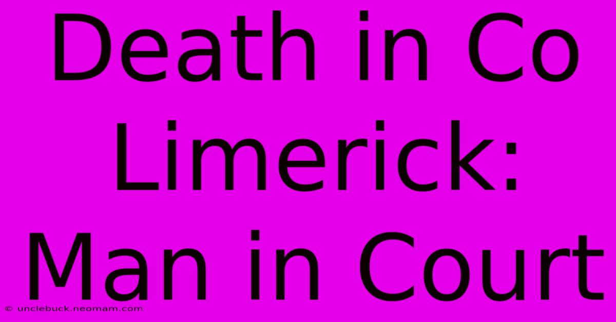 Death In Co Limerick: Man In Court