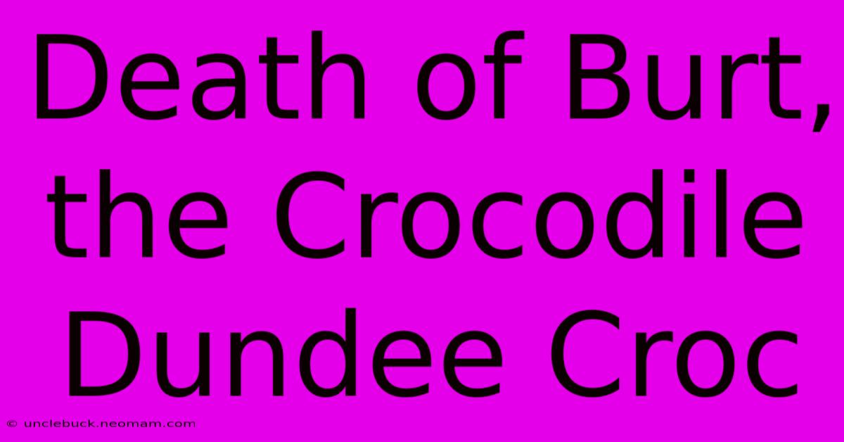 Death Of Burt, The Crocodile Dundee Croc