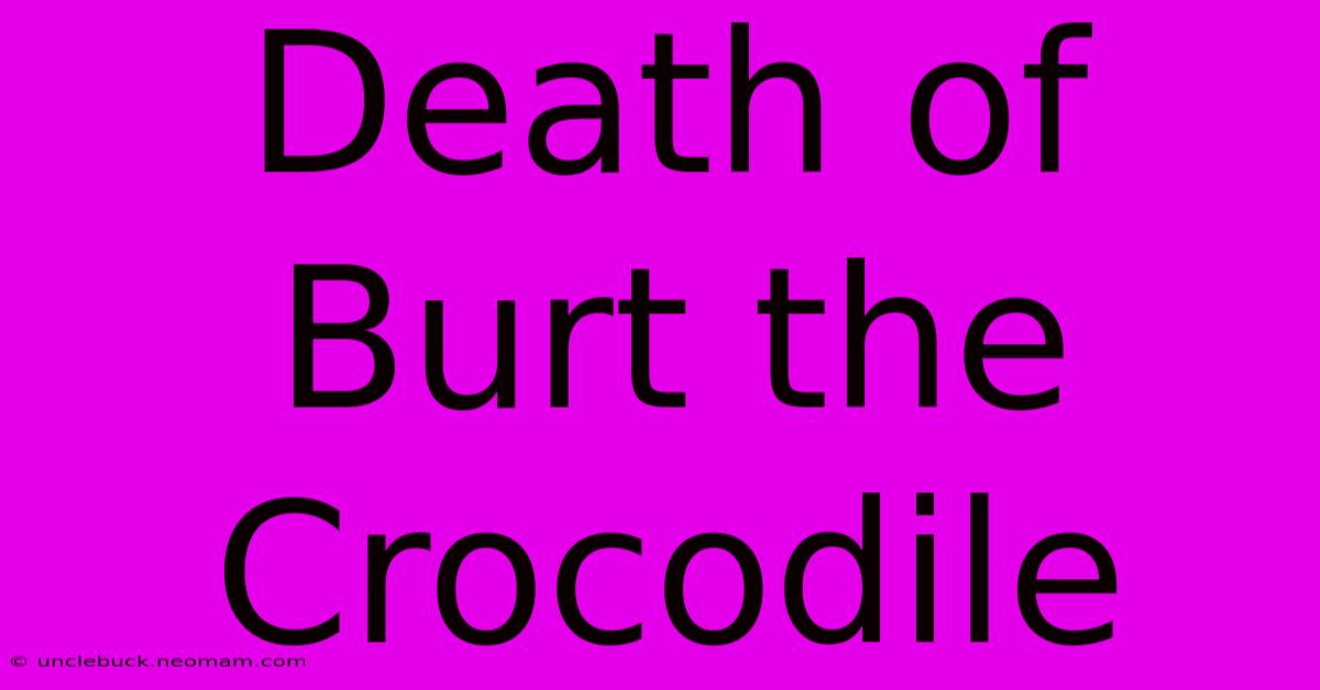 Death Of Burt The Crocodile