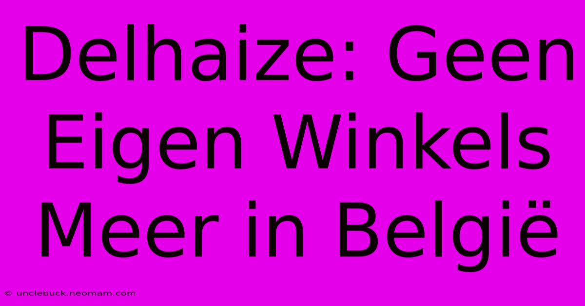 Delhaize: Geen Eigen Winkels Meer In België