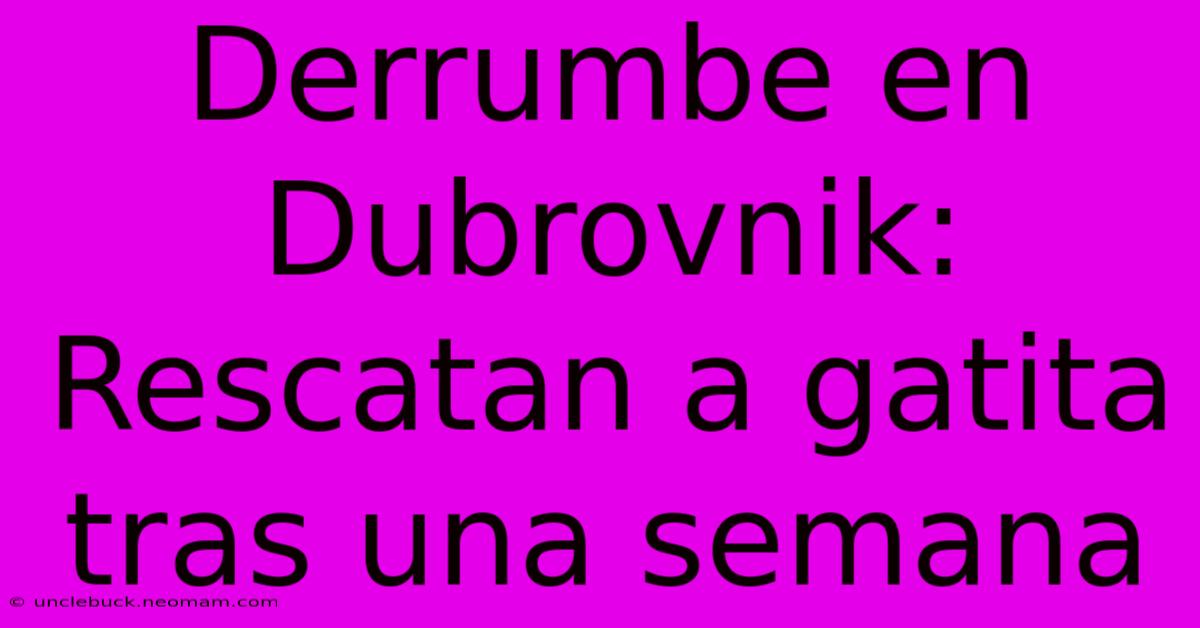 Derrumbe En Dubrovnik: Rescatan A Gatita Tras Una Semana