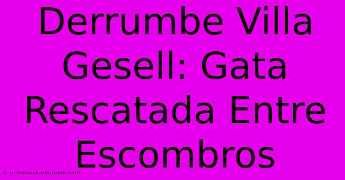 Derrumbe Villa Gesell: Gata Rescatada Entre Escombros