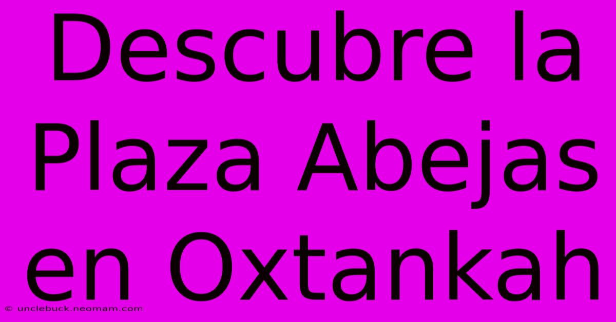 Descubre La Plaza Abejas En Oxtankah