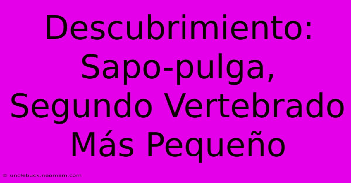 Descubrimiento: Sapo-pulga, Segundo Vertebrado Más Pequeño