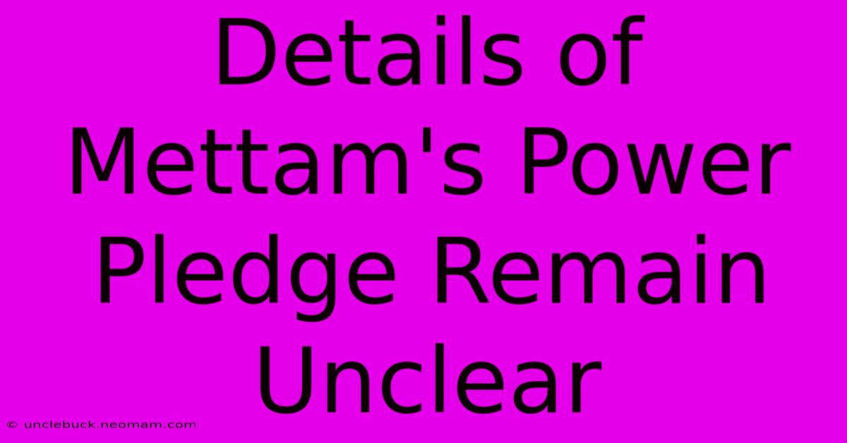 Details Of Mettam's Power Pledge Remain Unclear