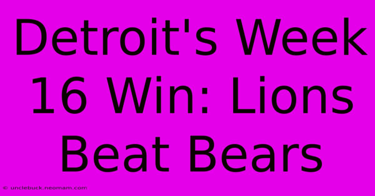 Detroit's Week 16 Win: Lions Beat Bears