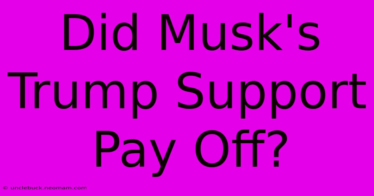 Did Musk's Trump Support Pay Off?