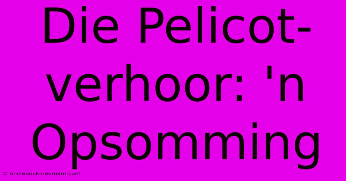 Die Pelicot-verhoor: 'n Opsomming