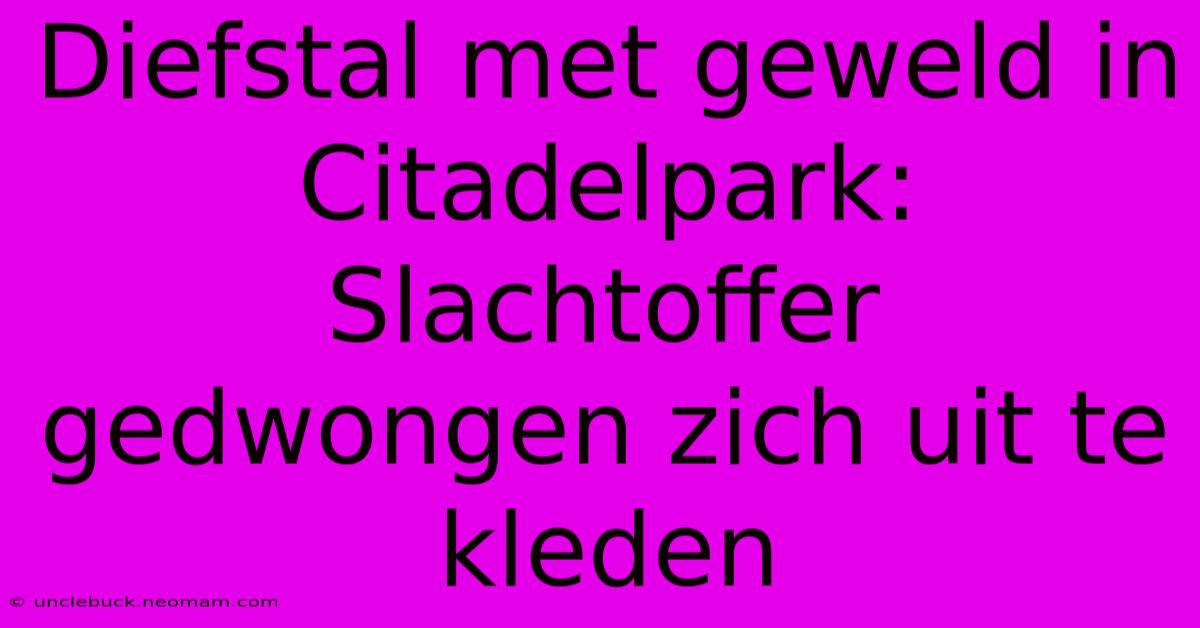 Diefstal Met Geweld In Citadelpark: Slachtoffer Gedwongen Zich Uit Te Kleden